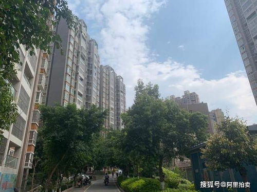 攀枝花錦泰亨房地產破產清算 一住宅39萬元起拍，非居住房地產租賃同步處置